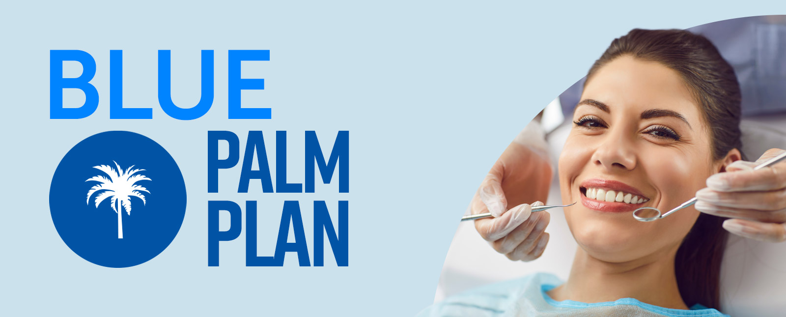 Blue Palm Plan